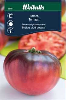 Tomat Indigo Blue Beauty